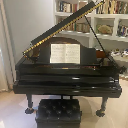 La Pianista Sull'oceano Apartamento